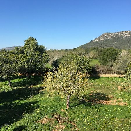 הוילה לןקמאג'ור Son Sampol מראה חיצוני תמונה